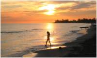 image016_small.jpg