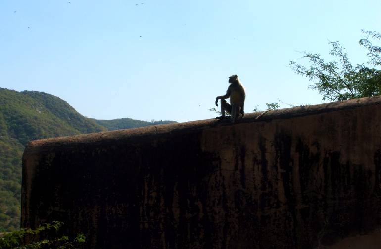 Original image
